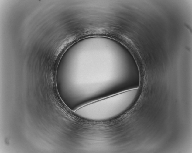 X0000102851218200808181039