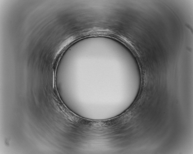 X0000102851219200808181040