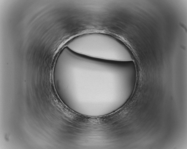 X0000102851220200808181040