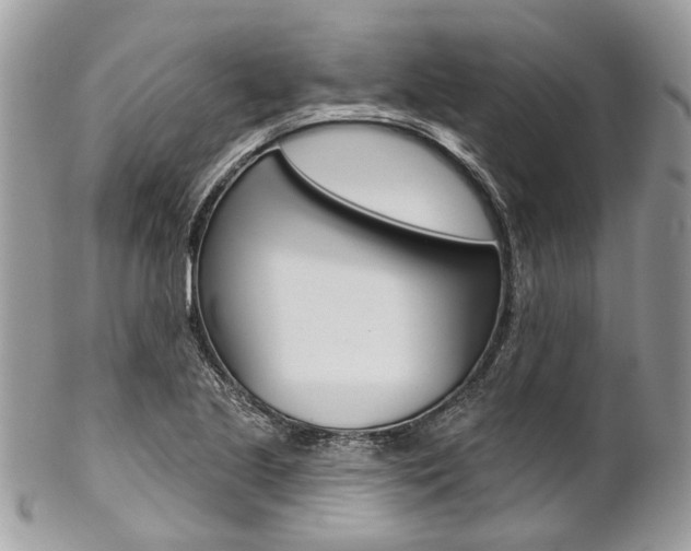 X0000102851221200808181040