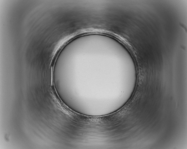 X0000102851223200808181040