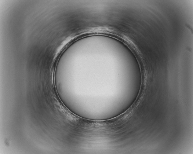 X0000102851224200808181040