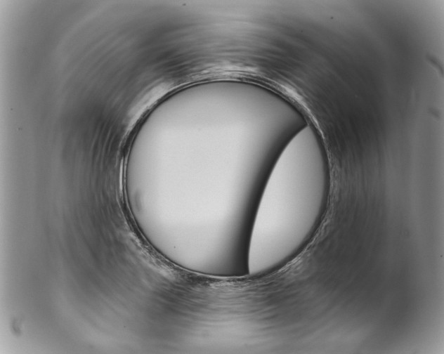 X0000102851227200808181040