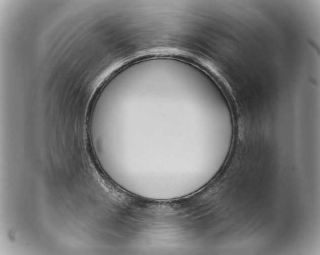X0000102851229200808181040