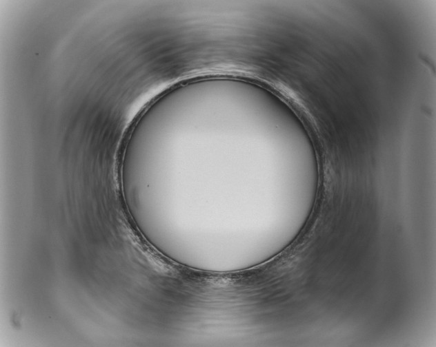X0000102851230200808181040
