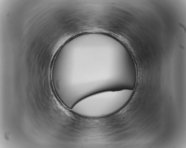 X0000102851231200808181040