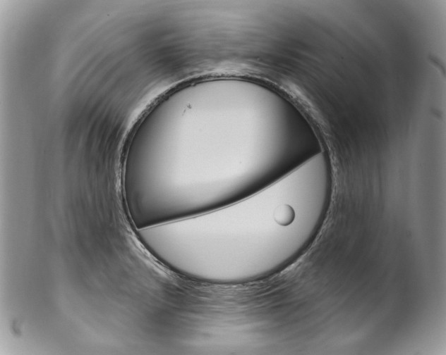 X0000102851232200808181040