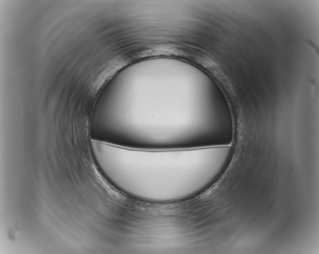 X0000102851233200808181040