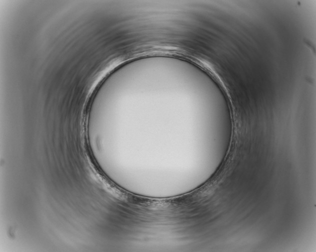 X0000102851235200808181040