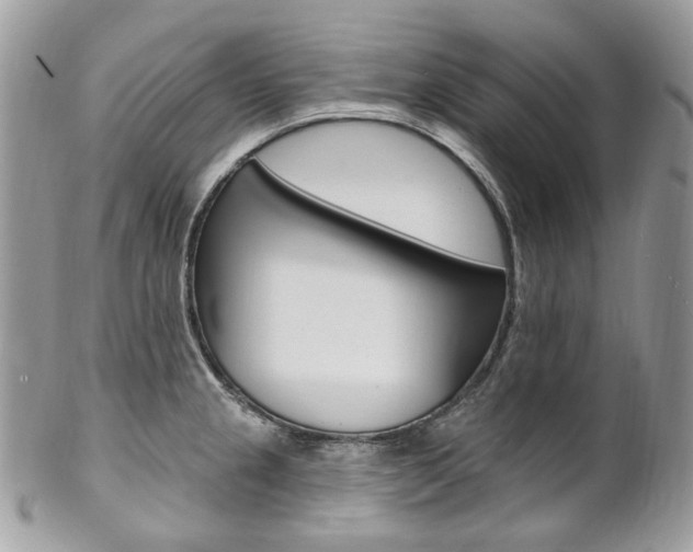 X0000102851237200808181040