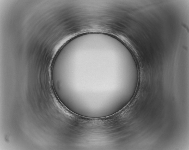 X0000102851238200808181040