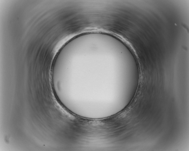 X0000102851239200808181040