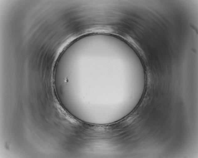 X0000102851240200808181040