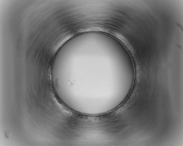 X0000102851241200808181040