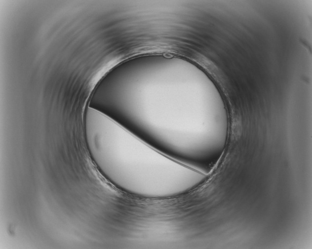 X0000102851242200808181040