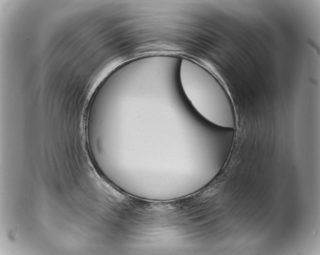 X0000102851243200808181040