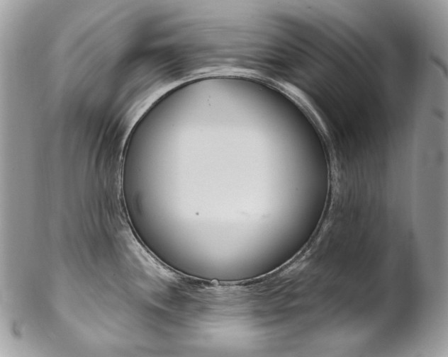 X0000102851244200808181040