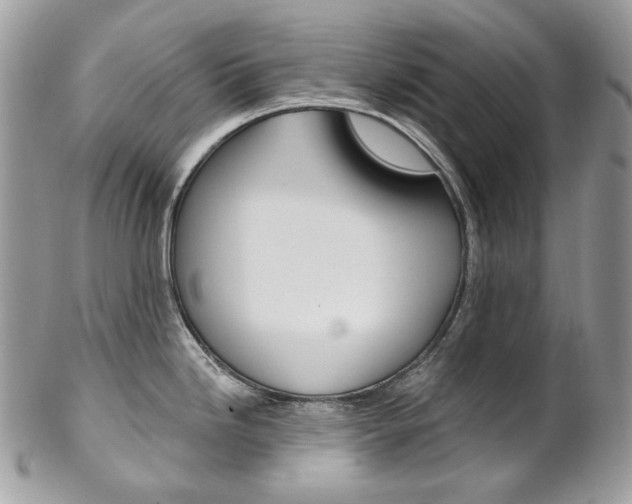X0000102851246200808181040