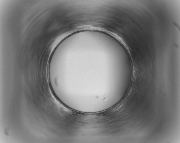 X0000102851247200808181040