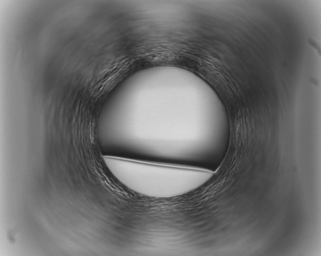 X0000102851250200808181039