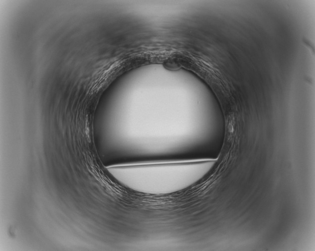 X0000102851252200808181039