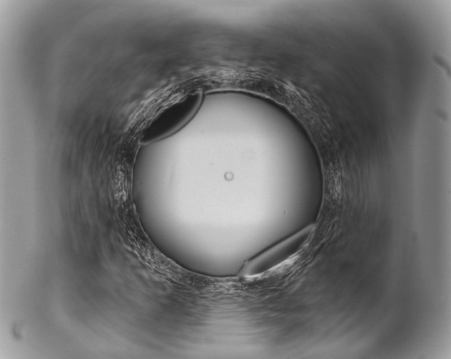 X0000102851253200808181039