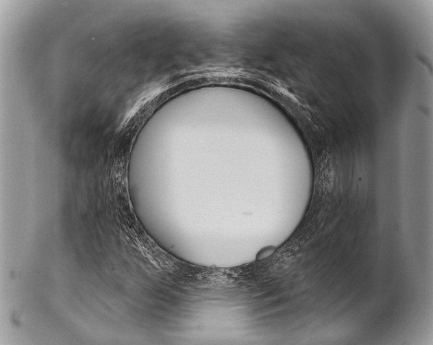 X0000102851255200808181039
