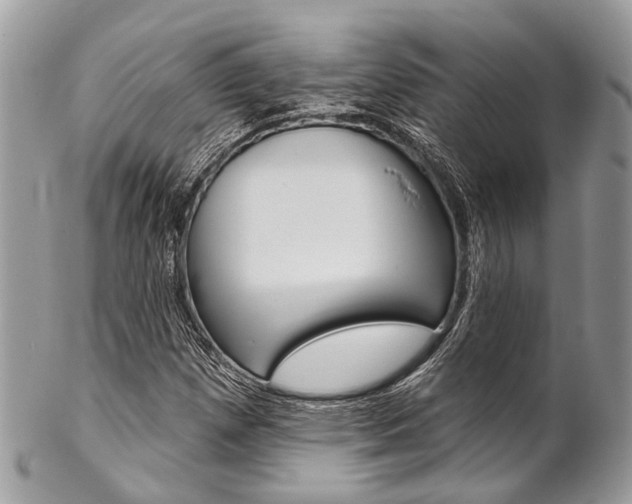 X0000102851257200808181039