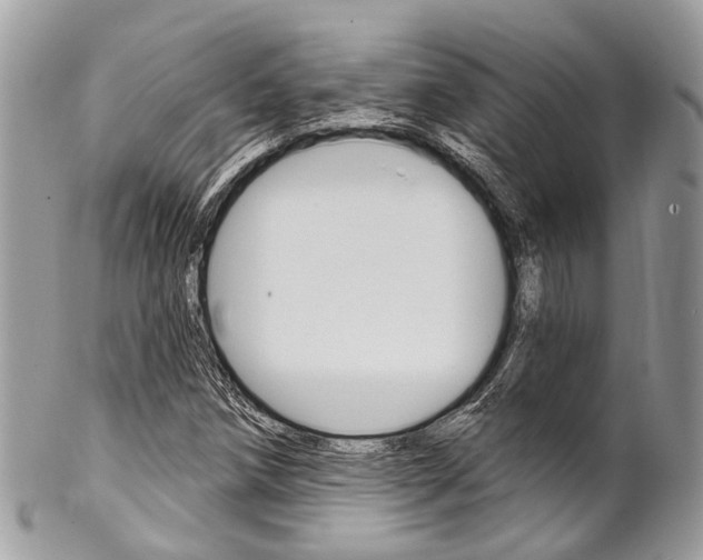 X0000102851258200808181039