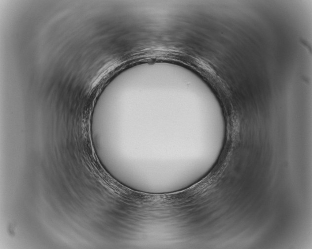 X0000102851259200808181039