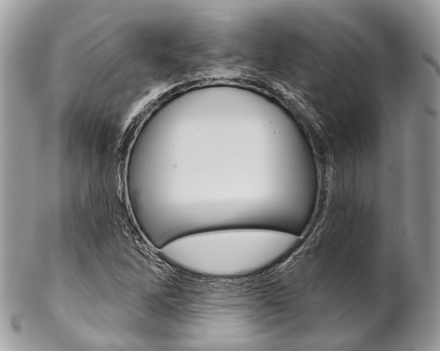 X0000102851262200808181039