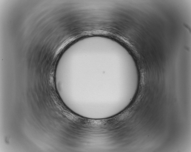 X0000102851266200808181039