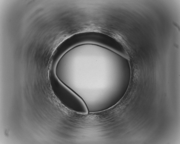 X0000102851268200808181039