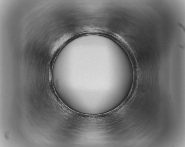 X0000102851269200808181039