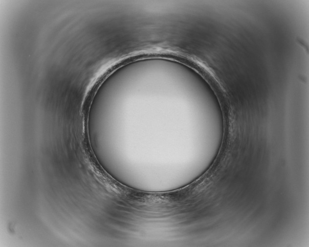 X0000102851270200808181039