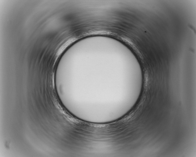 X0000102851274200808181039