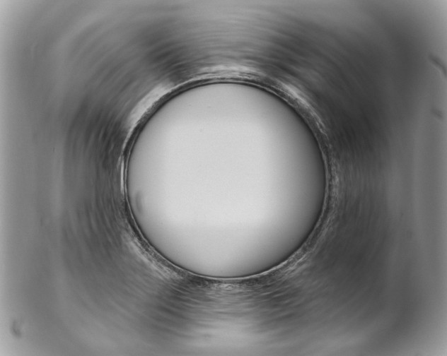 X0000102851275200808181039
