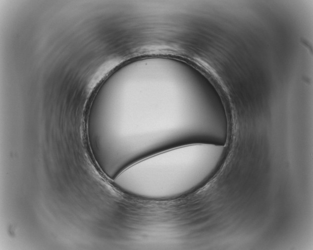 X0000102851277200808181039
