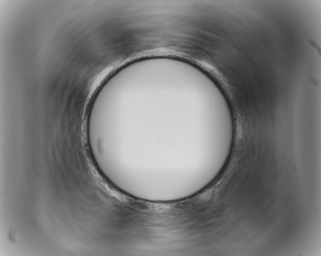 X0000102851278200808181039