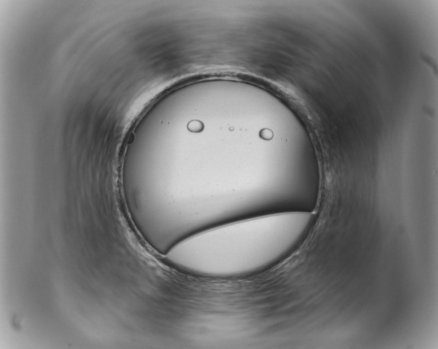 X0000102851279200808181039