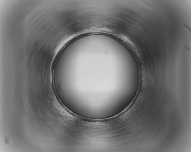 X0000102851280200808181039
