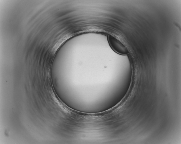 X0000102851281200808181039