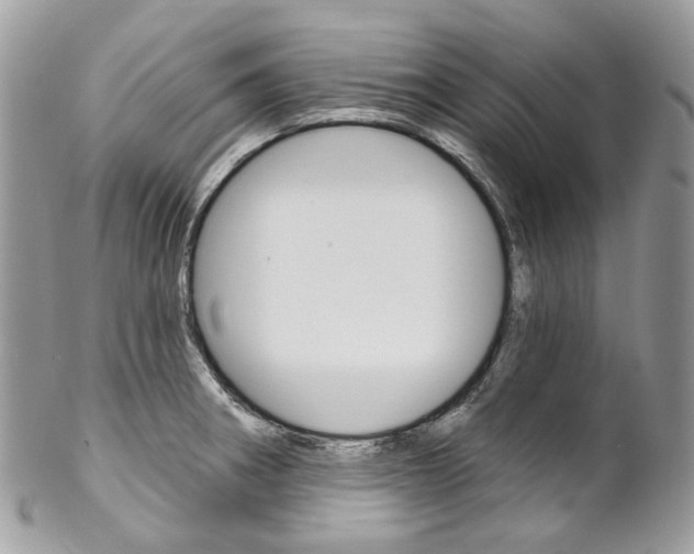 X0000102851282200808181039