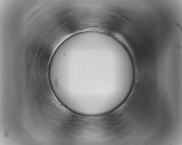 X0000102851284200808181039