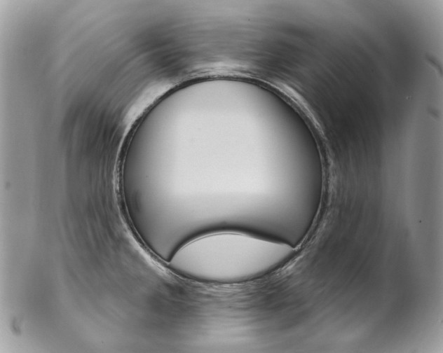X0000102851285200808181039