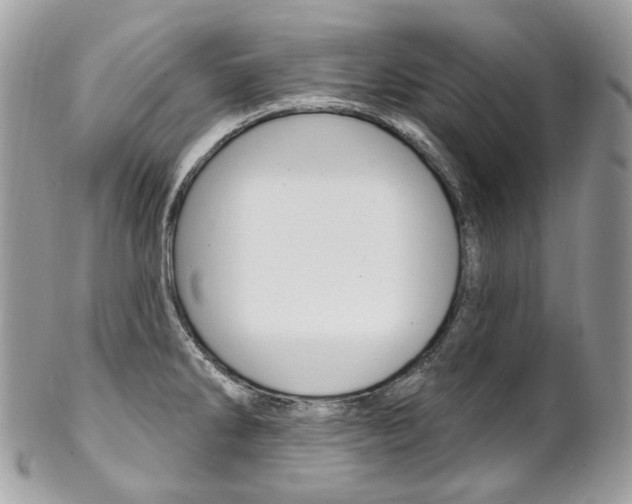 X0000102851286200808181039