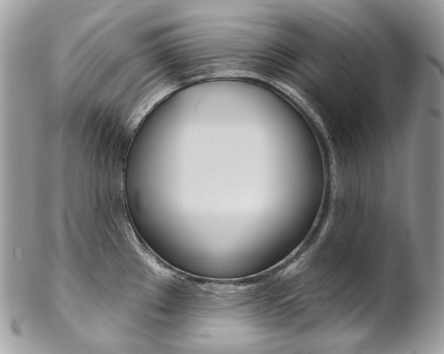 X0000102851289200808181039