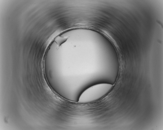 X0000102851291200808181039