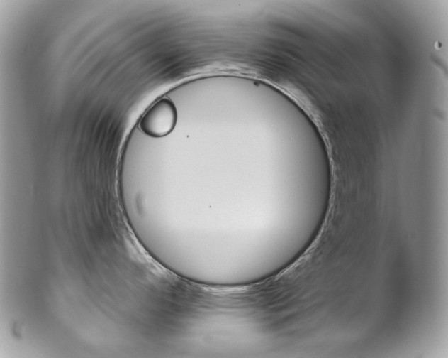 X0000102851296200808181039