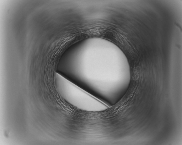 X0000102851297200808181038